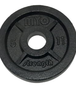 Alternative view of MYO Strength Olympic Cast Iron Weight Plates